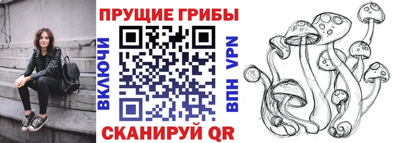 MEGA маркетплейс  сколько стоит  Заволжск  Галлюциногенные грибы Cubensis 